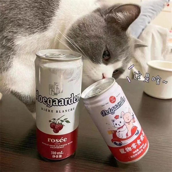 ±GG-ƽ̨,עᳩĻ֮!
